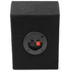 Pack 2 Colunas Monitor DJ 2 Vias 2x 100W - FENTON 3