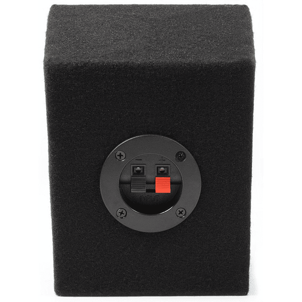 Pack 2 Colunas Monitor DJ 2 Vias 2x 100W - FENTON 3