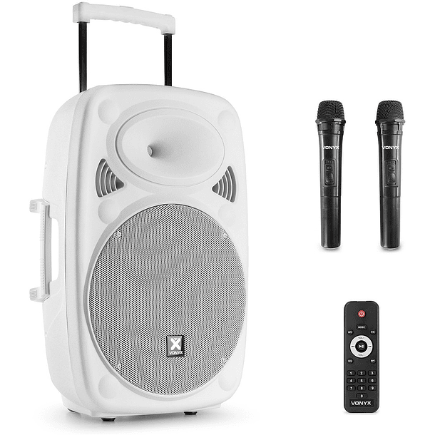 Coluna Amplificada Portátil 15