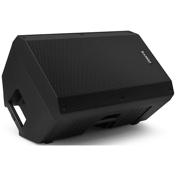 Coluna Amplificada Portátil 15