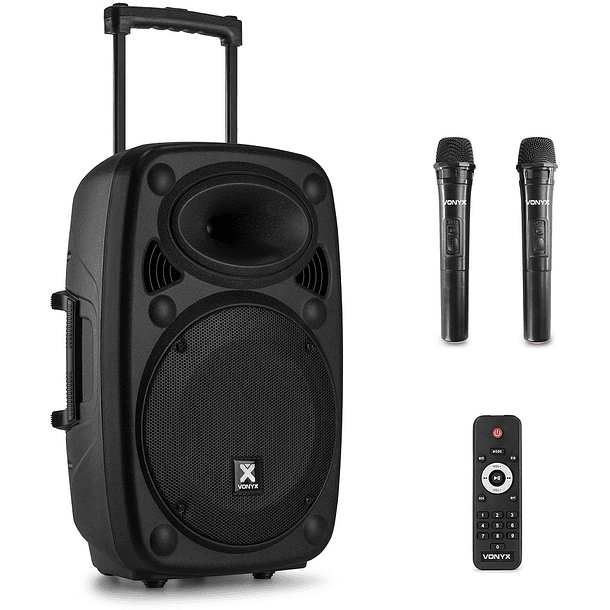 Coluna Amplificada Portátil 12