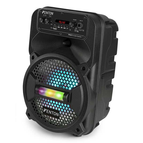 Coluna Amplificada Portátil 12