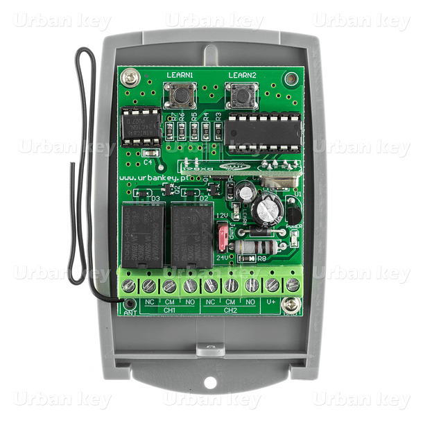 Receptor Bi-Canal Multicodigos 433Mhz 1