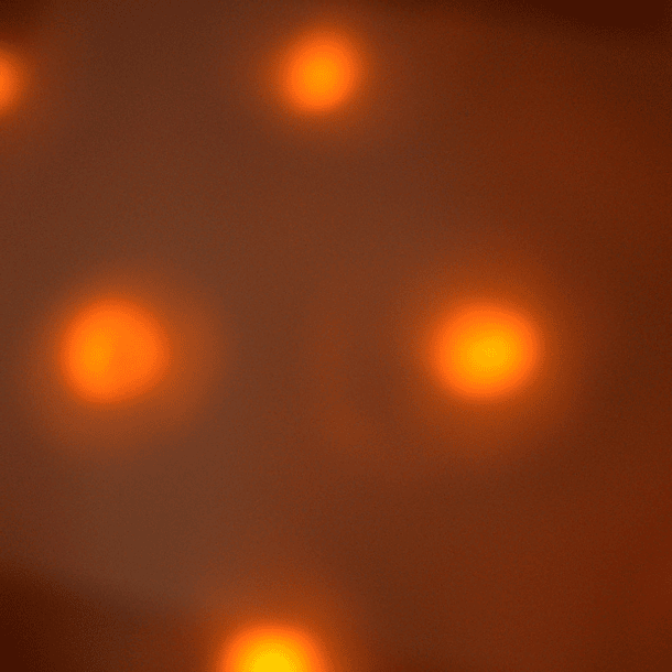 Bola Efeitos LED 30W RGBWA - ACOUSTIC CONTROL 4