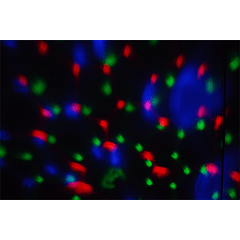 Projector Efeitos Disco 24 LEDs c/ Coluna Bluetooth 5W - PartyFunLights