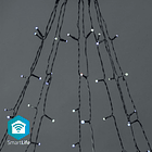 Serie Natal p/ Árvore 180 LEDs RGB SmartLife Wi-Fi (10 x 2 mts) - NEDIS 1