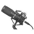 Microfone Radium 400 (Preto) - GENESIS 1