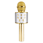 Pack Básico p/ Karaoke - HQ POWER 3