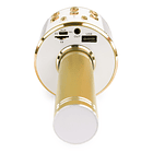 Central 2 Microfones UHF 2 Canais s/ Fios (Mão e Cabeça) STWM722C - Skytec 3