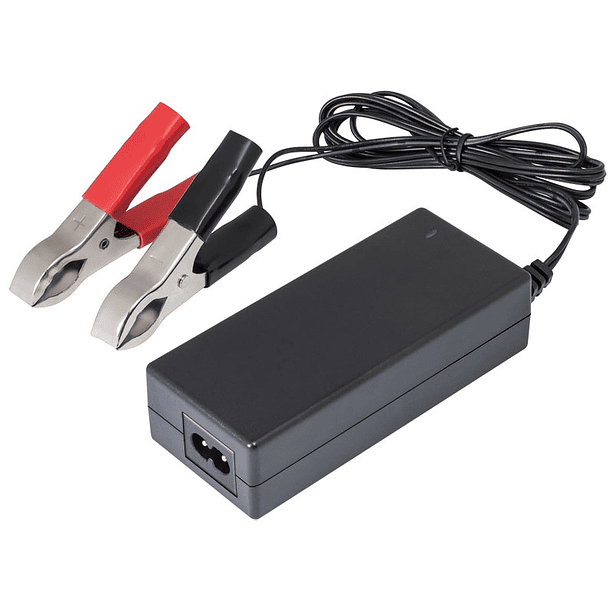 Carregador Automático de Baterias Chumbo e Gel 24V 1