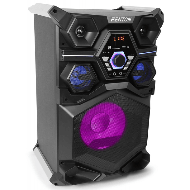 Coluna Amp. Profissional LEDs RGB 10