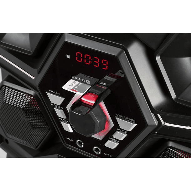 Coluna Amp. Profissional LEDs RGB 10