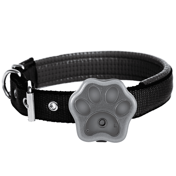 Localizador GPS/Wi-Fi p/ Animais 4