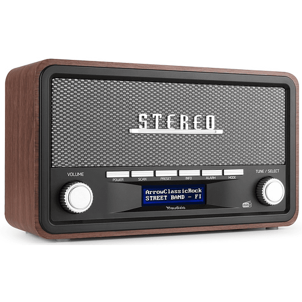 Rádio Retro DAB+ Foggia (Cinza) - AUDIZIO 1