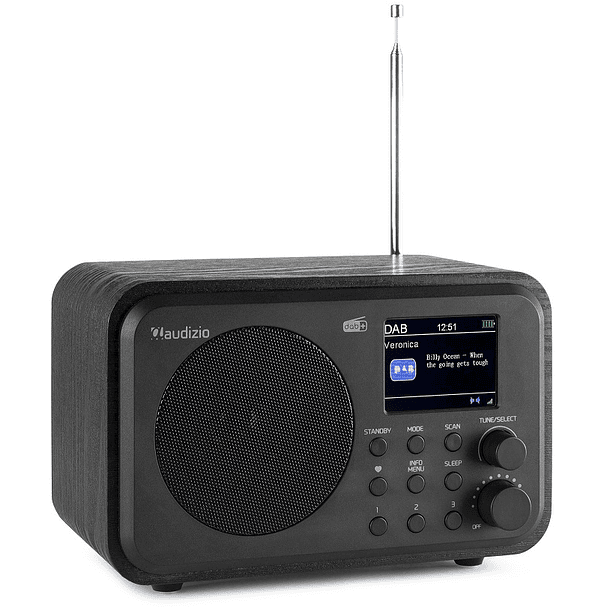 Rádio FM/DAB+ Bluetooth 30W c/ Bateria (Preto) - AUDIZIO ...