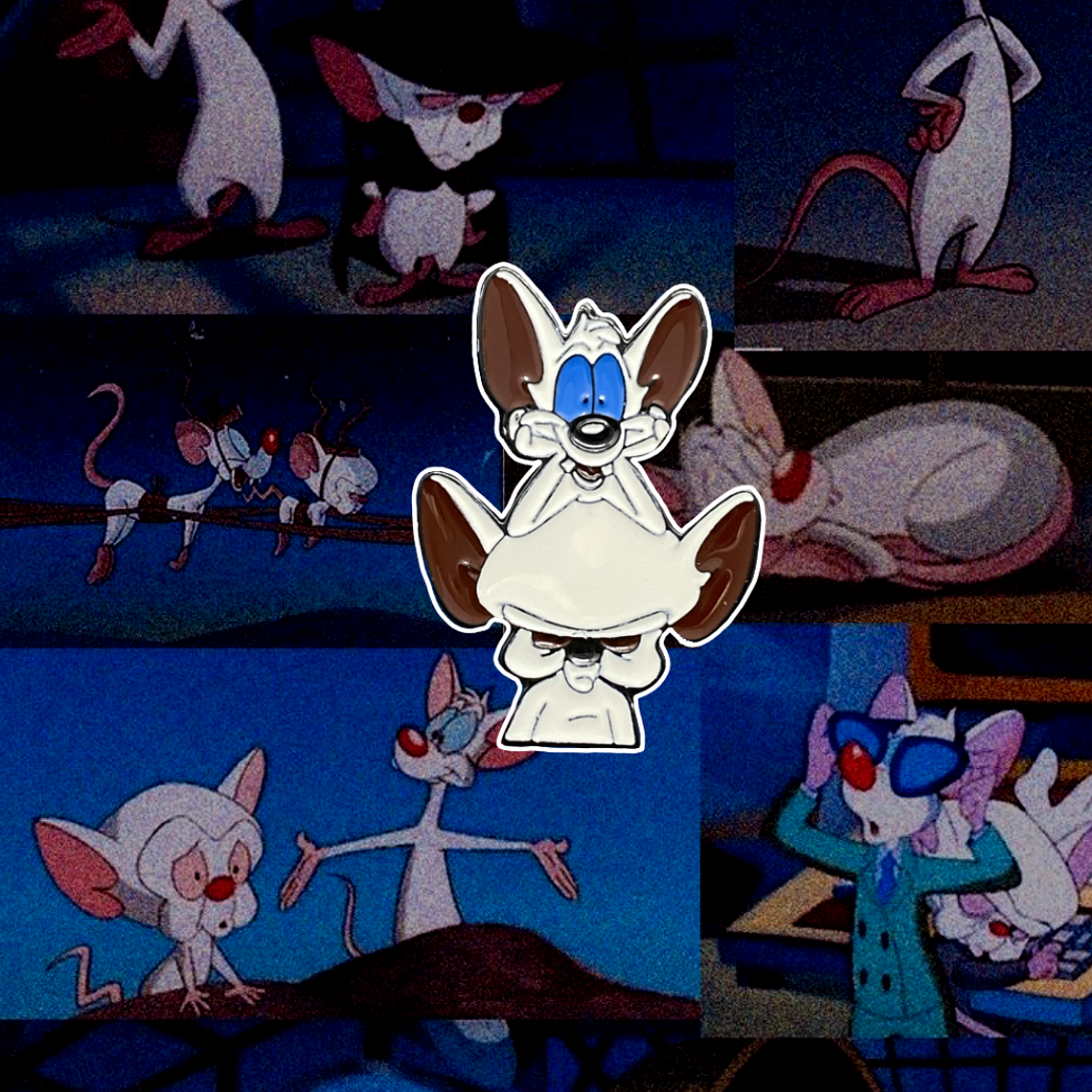 Pin Pinky y Cerebro  1