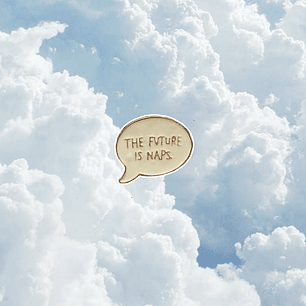 Pin The future is naps