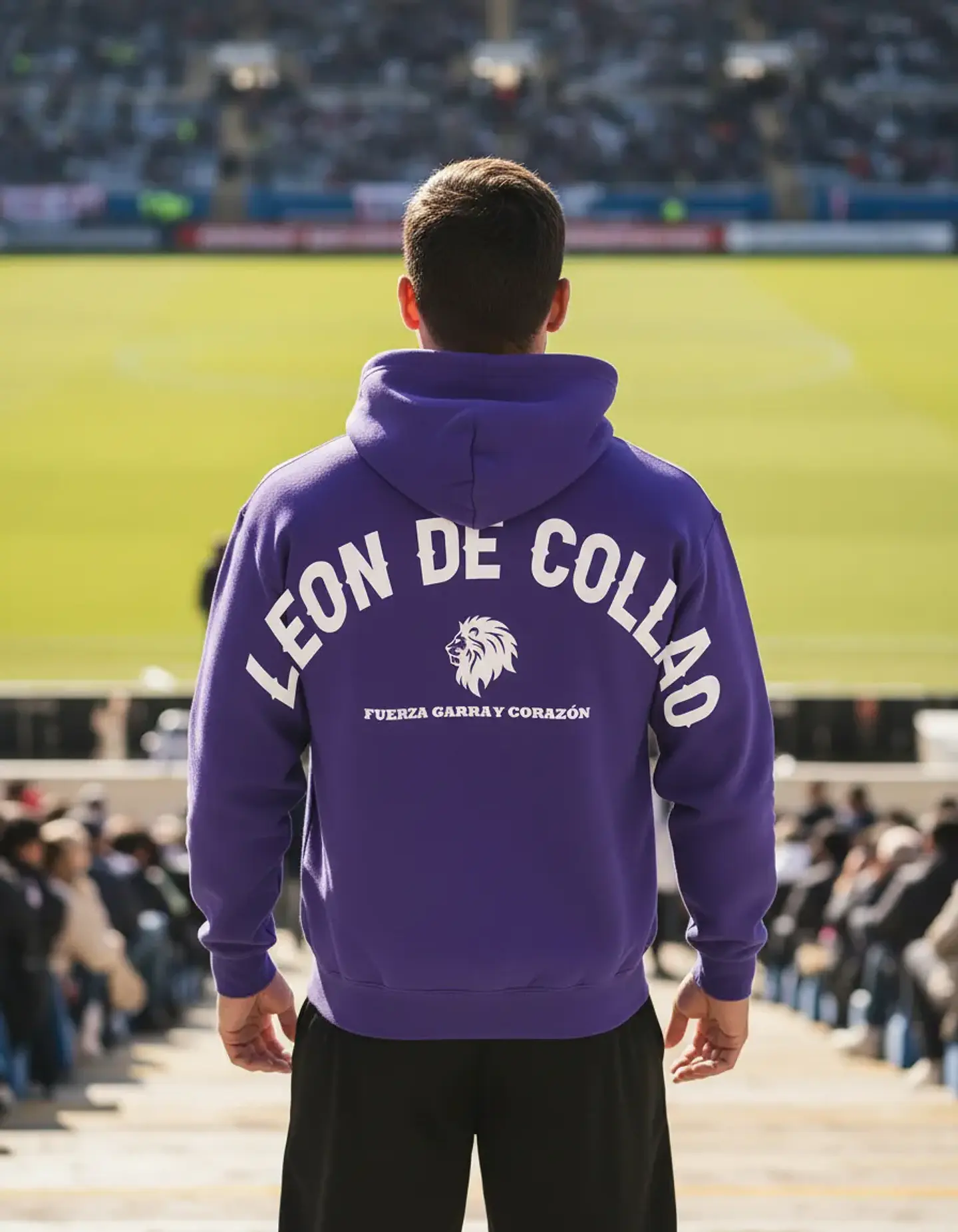 Polerón Deportes Concepción, El León de Collao 3