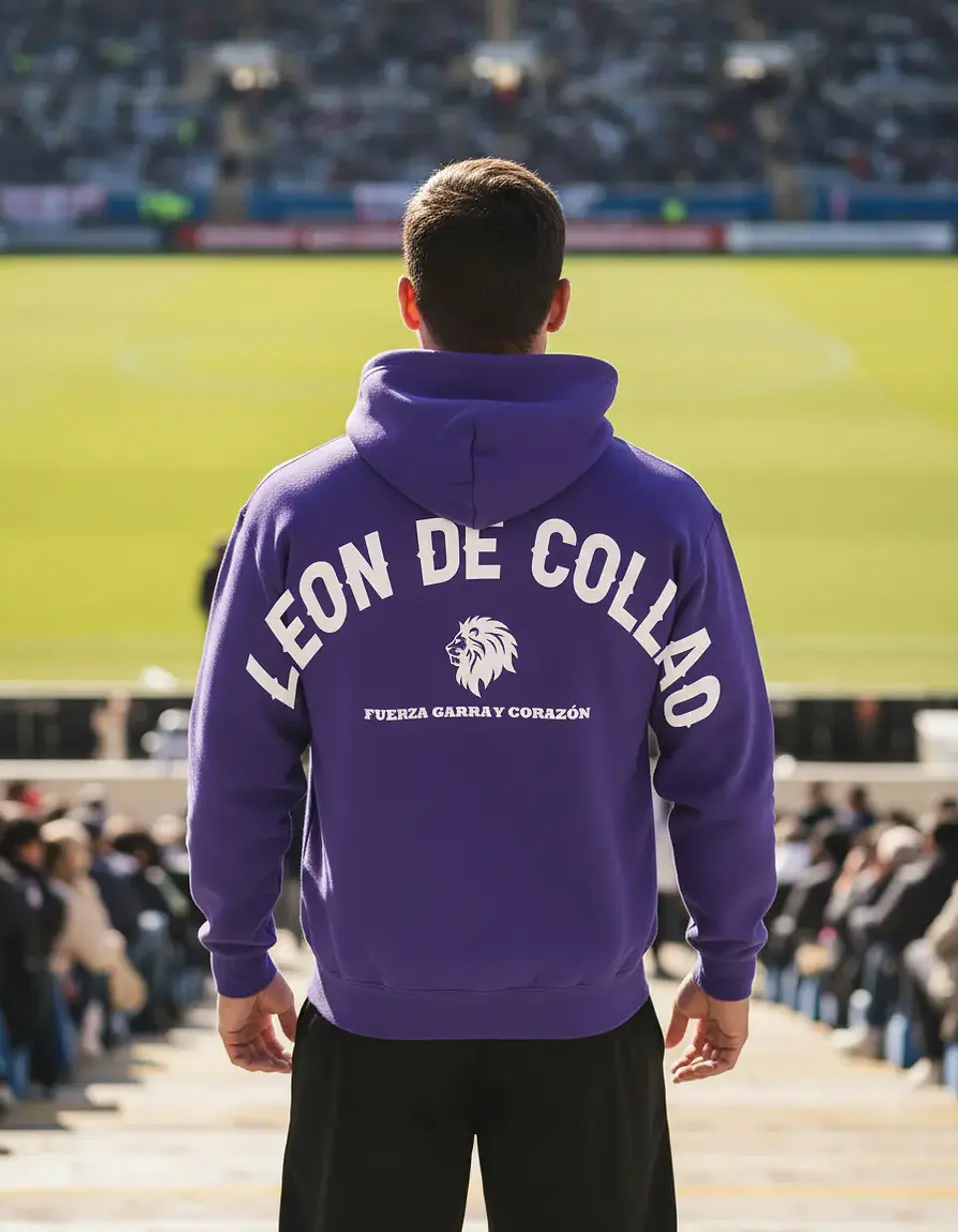 Polerón Deportes Concepción, El León de Collao 3