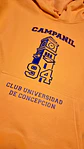 Polerón Universidad de Concepción, Campanil - Miniatura 4