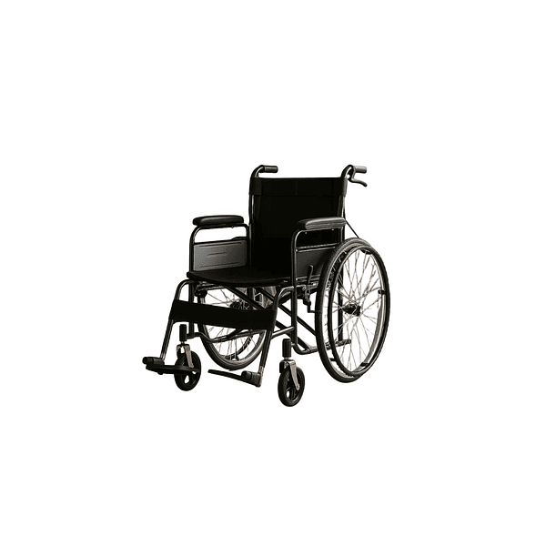 Silla de Ruedas Estándar (4)