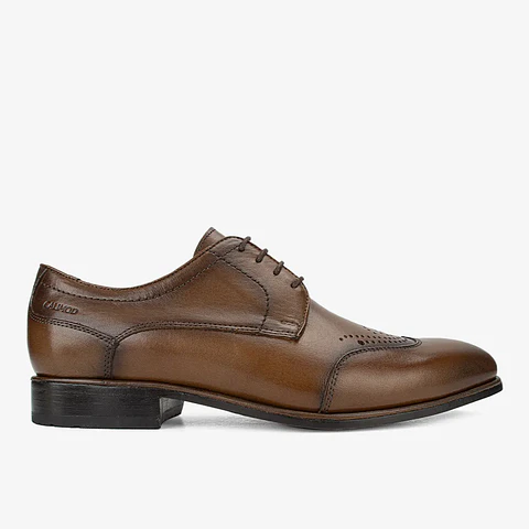 Zapatos Hombre Roble #2 1VK9001