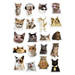 Stickers Calcos Memes Gatos N2 X25 Compu Celu Interiores - Miniatura 1