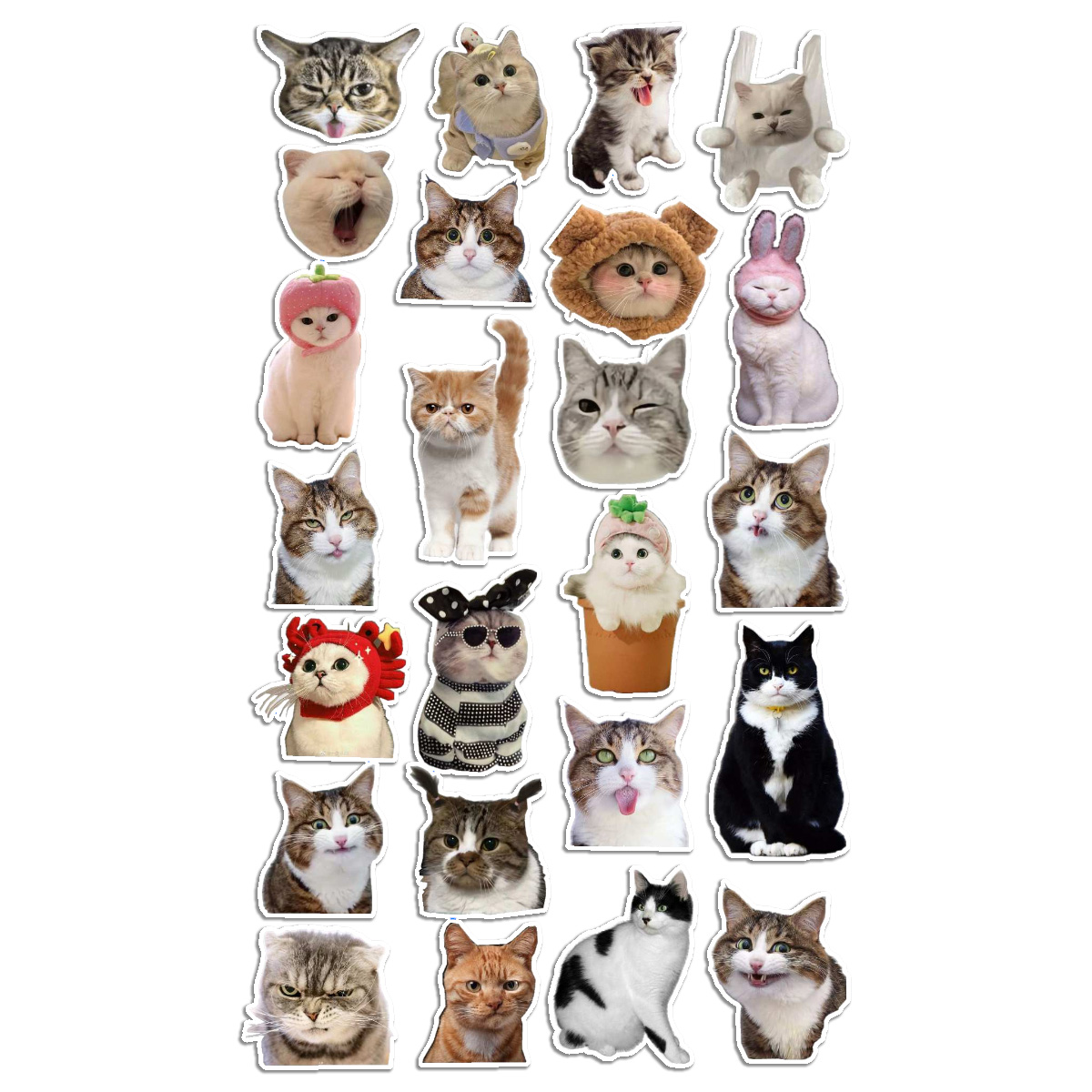 Stickers Calcos Memes Gatos N3 X25 Compu Celu Interiores 1