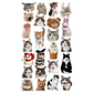 Stickers Calcos Memes Gatos N3 X25 Compu Celu Interiores - Miniatura 1