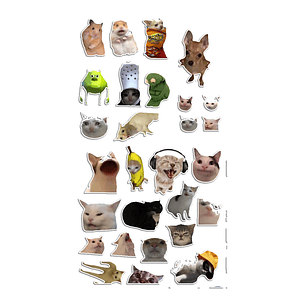 Stickers Calcos Memes Gatos N5 X25 Compu Celu Interiores