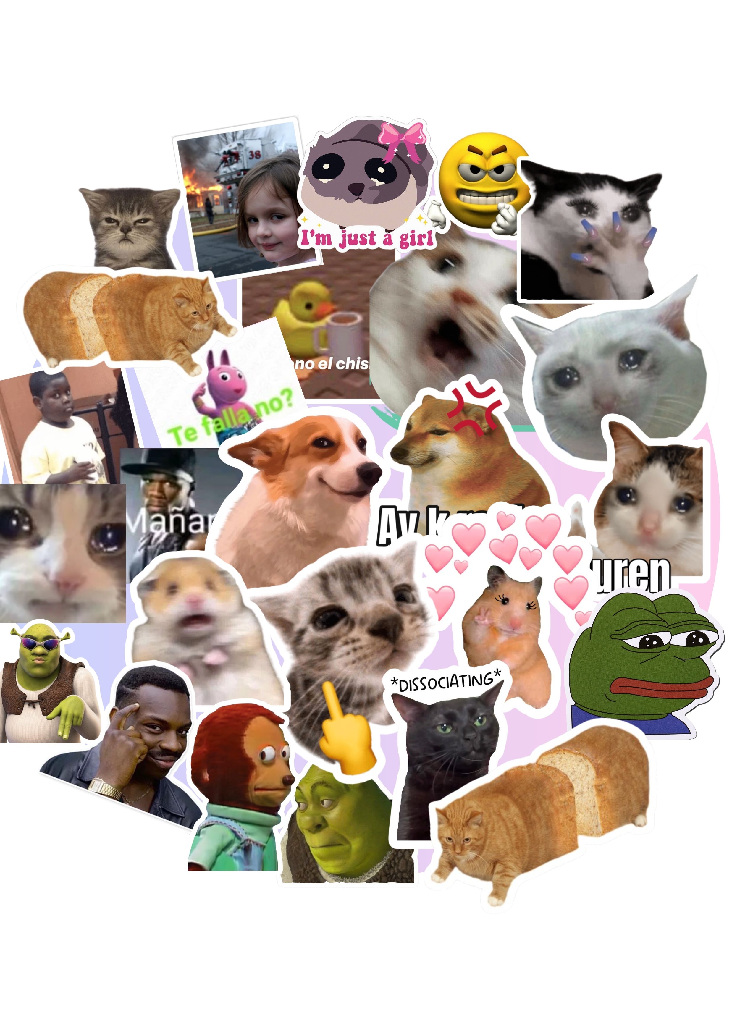 Stickers Calcos Pack Memes N1 X25 1