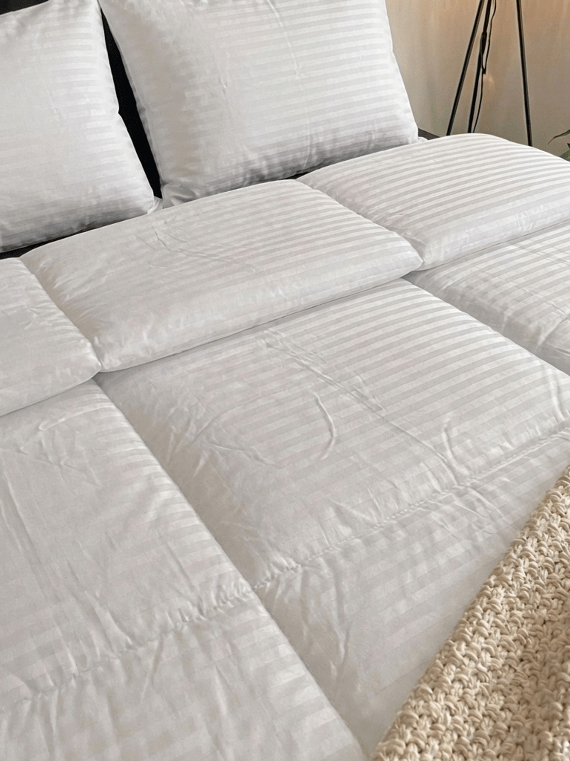 Cobija Tipo Plumon Siliconado + 2 Fundas 2