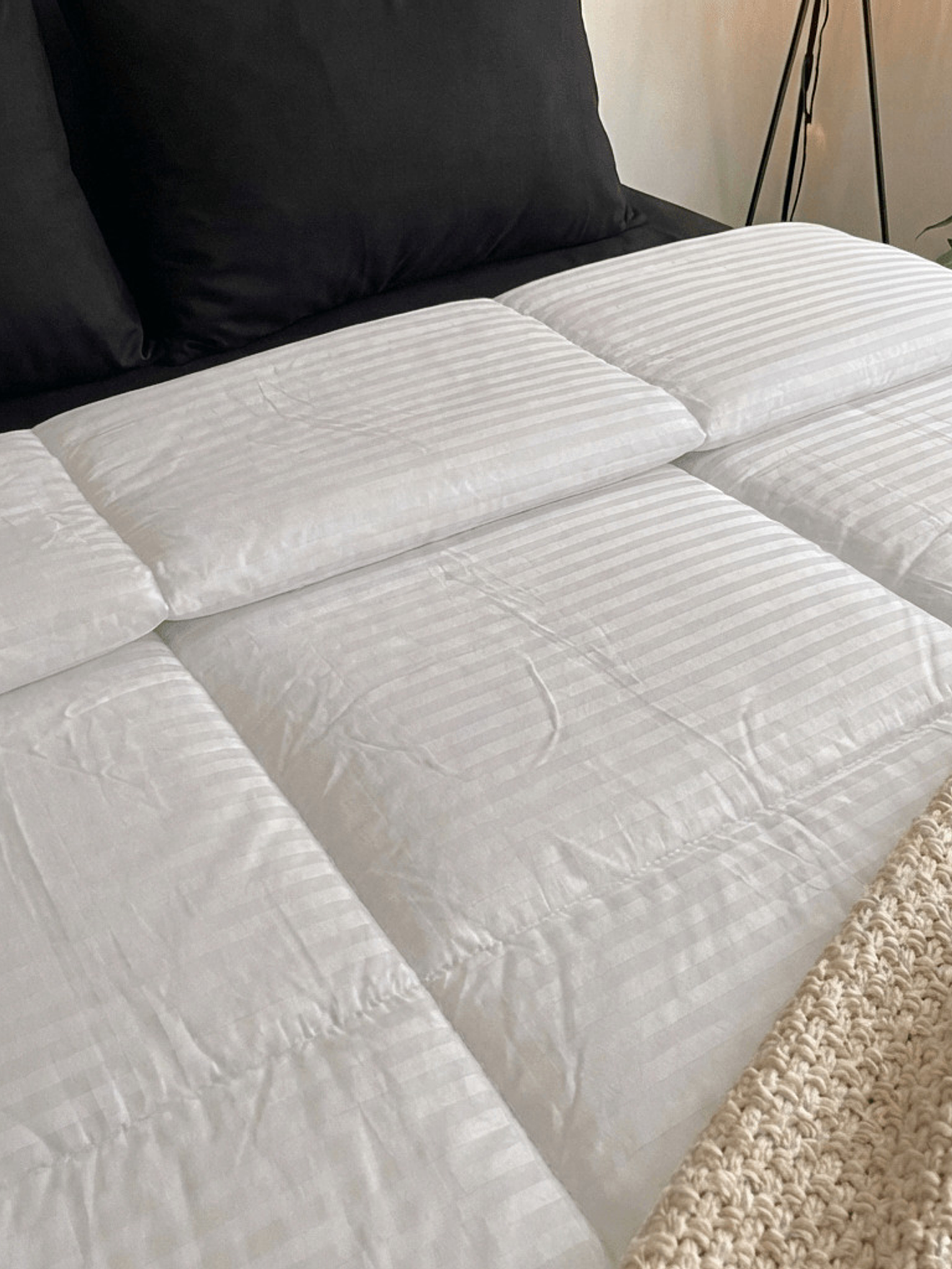 Cobija Tipo Plumon Siliconado 2