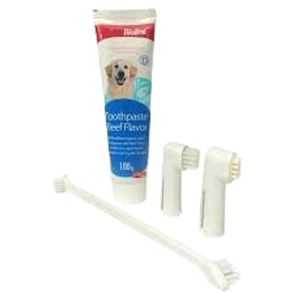 Set Dental 1