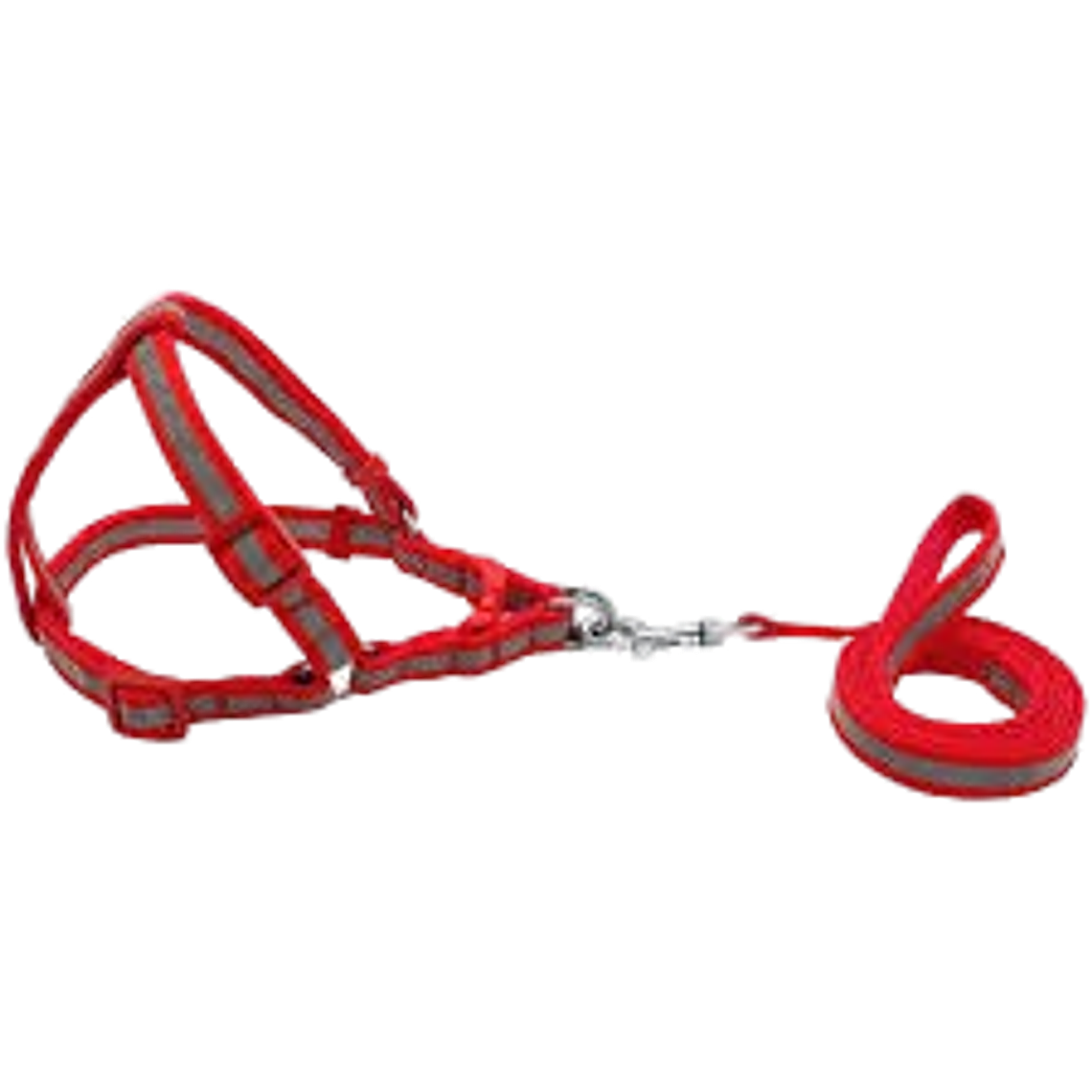 Arnés Reflectante 1