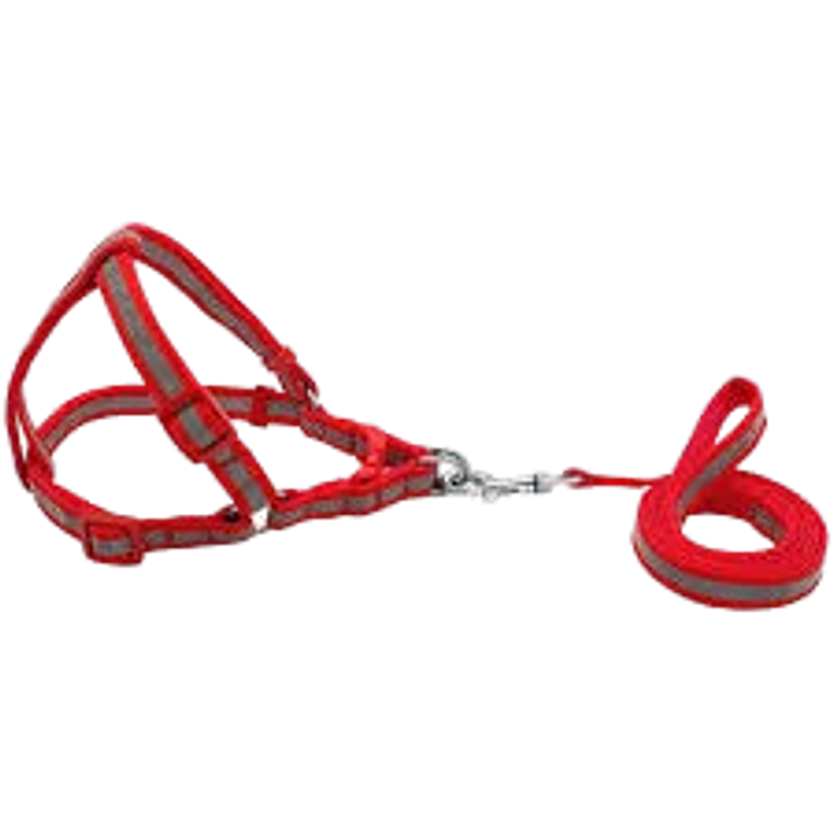 Arnés Reflectante 1