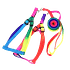 Arnés Arcoiris
