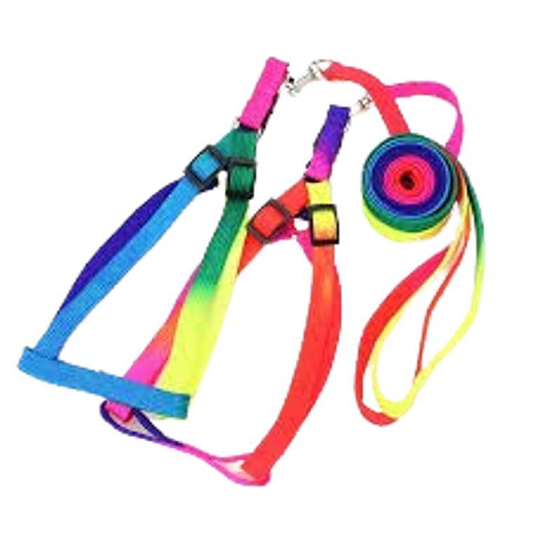 Arnés Arcoiris 1