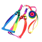 Arnés Arcoiris - Miniatura 1