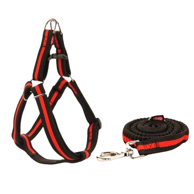 Arnés Bicolor Talla M 1