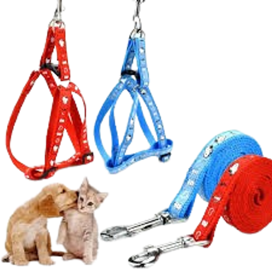 Arnés Diseño Colores 1