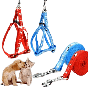 Arnés Diseño Colores