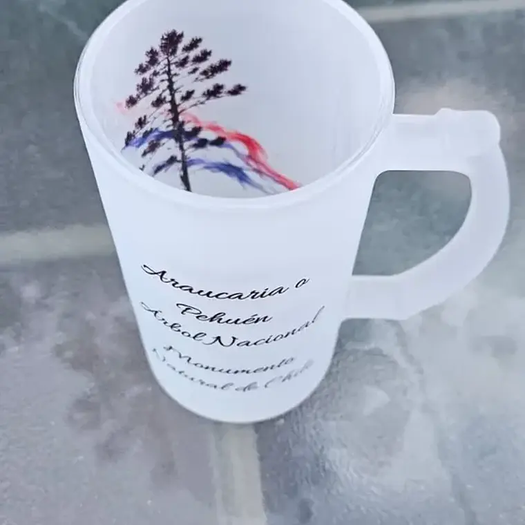 Shopero Araucaria 4