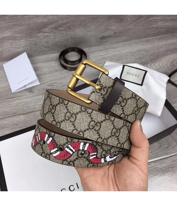 GUCCI - CANVAS BELT