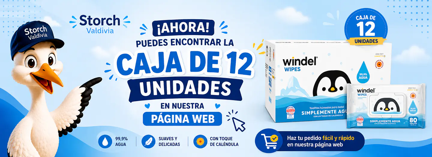 storch valdivia
