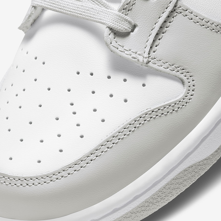 Nike Dunk Low Retro 16