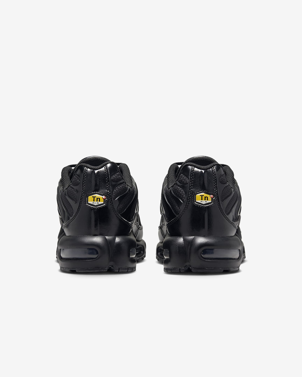 Nike Air Max Plus 6