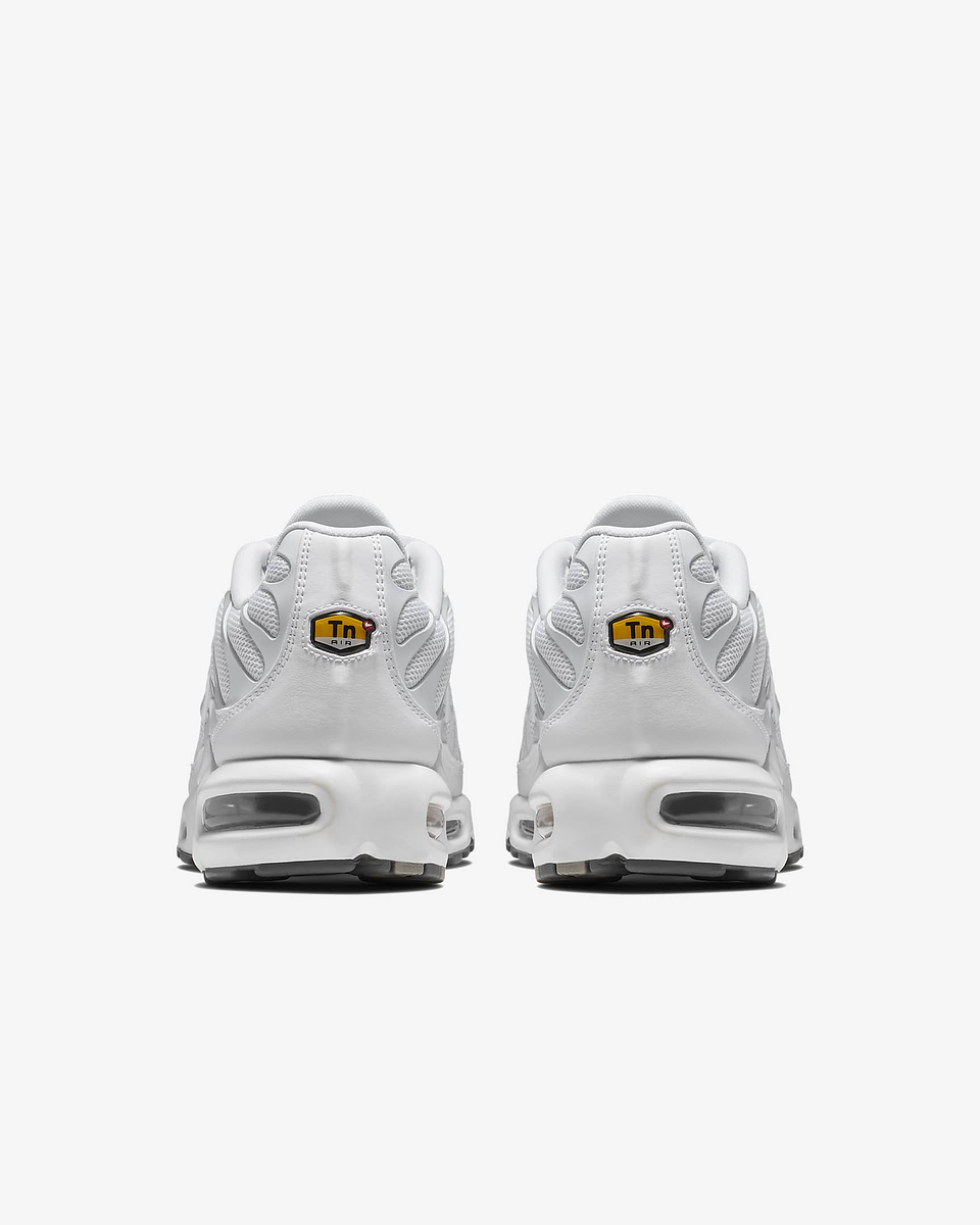 Nike Air Max Plus 17