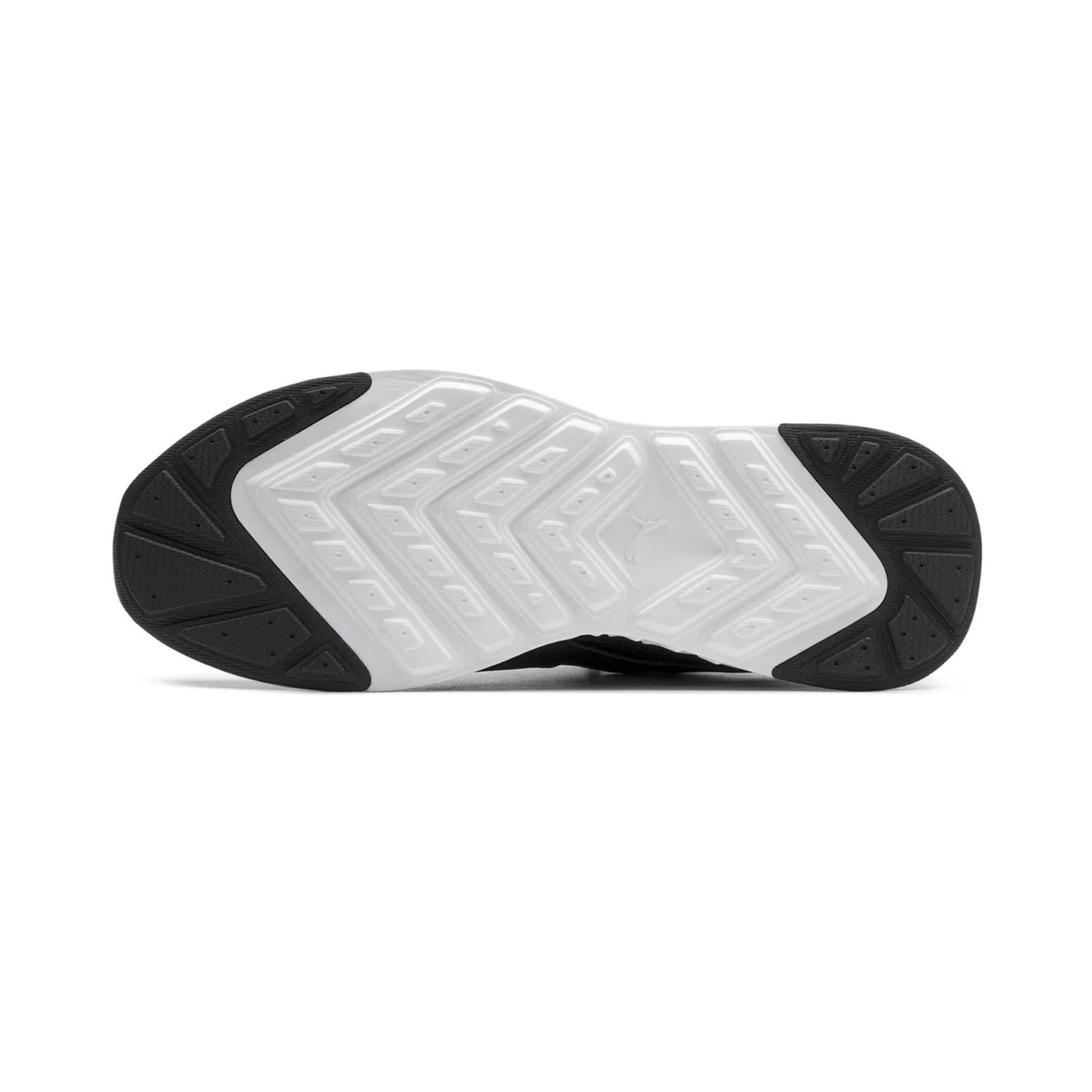 Tenis Puma de automovilismo BMW M Motorsport Tiburion 4