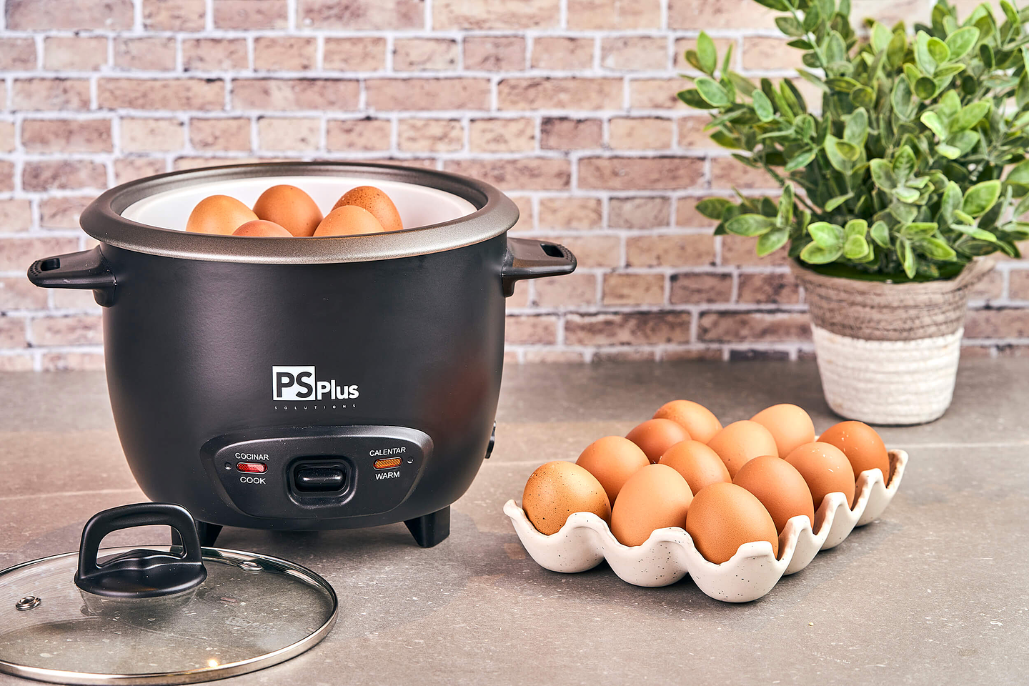 Arrocera 5 tazas con Vaporera  / PS Plus 2